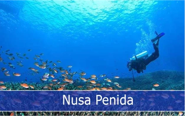 Explore stunning coral gardens and spot manta rays and sunfish or Mola at this renowned dive site